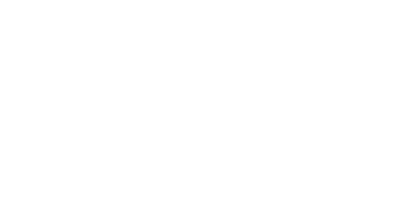 BSG Logo